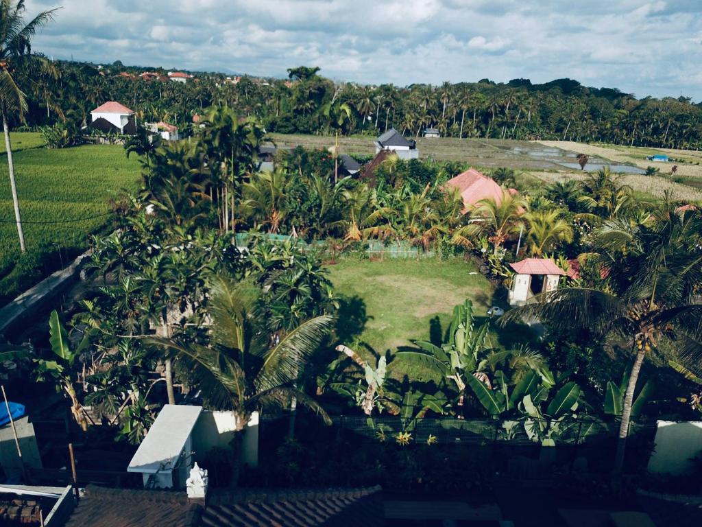 sari-padi-house-ubud7.jpg